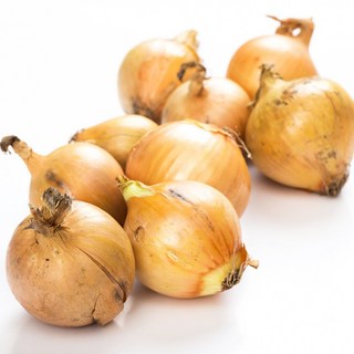 [오늘야채]25년 창녕 햇양파 꼬마양파(장아찌용), 1박스, 5kg(장아찌용)