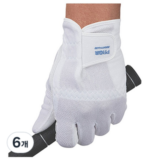 [2장 1세트] 프로기아 PRGR 쿨메쉬 남성 남자 골프장갑 반양피 논슬립 장갑, DH-203K 화이트, 6개
