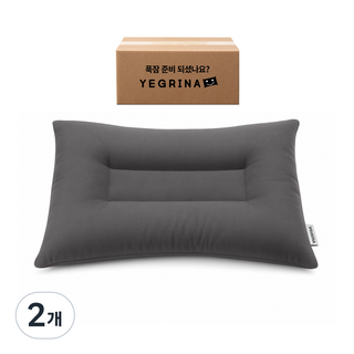 예그리나 푹잠경추베개, 그레이, 2개