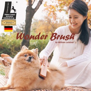 WILLIAM LEISTNER 애완동물 브러쉬 원더브러쉬 브러쉬/빗, 2개