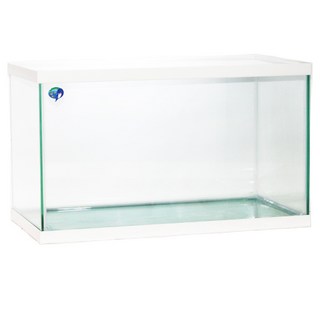 샘아쿠아 혜미 2자 넓은어항 60*30*35cm 화이트 어항, 60 x 30 x 35 cm, 1개