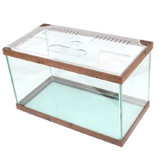 천일 열대어 사각 압출어항 CH-1041, 엔틱, 1개