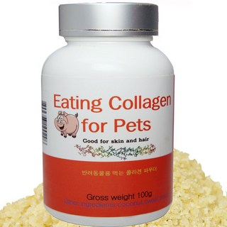 수제명가 반려동물 콜라겐 파우더 영양제, 피부/피모, 100g, 1개