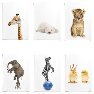 마이월플레이즈 동물포스터 젖지않는 인테리어 방수포스터 6장세트