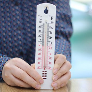 쥬골드 벽걸이 아날로그 플라스틱 온도계, 1개, 골드