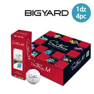 스포츠용품 다양한골프공 브랜드별골프공 빅야드M 1dz/4pc, 세인트나인 M, 4개