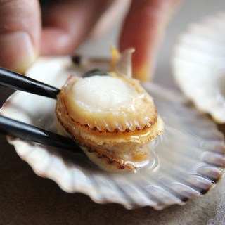 [맛꾼] 국내산 제철 신선하고 알이 큰 통영 홍가리비, 1박스, 2kg