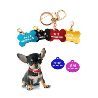 바미샵 강아지 이름표 목걸이 애견 인식표 뼈다귀 무료각인, 오렌지붕어, 1개