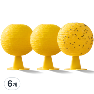 바라츠 초강력 초파리 트랩 끈끈이, 6개