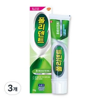 폴리덴트 의치부착재 후레쉬 민트, 3개