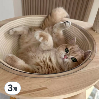 고양이 캣타워 투명볼 스크래쳐 투명 캣볼전용 방석스크래쳐, 3개, 퍼플