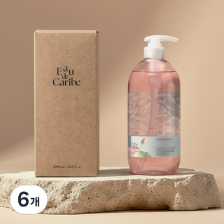 [만족도98% 탈모샴푸] 오드 카리브 10만PPM 맥주효모 탈모 샴푸, 6개, 1L