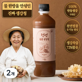 물 한방울 안들어간 진짜 국내산 100% 안동 생강 천연벌꿀 정성 생강청 원액 생강차, 620g, 2개, 1개입