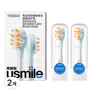 유스마일 에어쿠션 프로패셔널 칫솔모 - 전 기종 호환, 2개, 소프트케어-PCK003