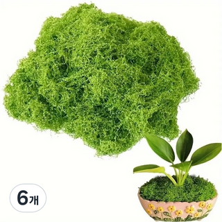 숲인더시티 인조이끼 플랜테리어 100g, 6개
