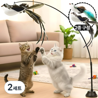 아마폴라 고양이가 좋아하는 고정 낚시대 장난감, 2세트, 긴꼬리새
