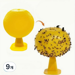 딜리홈 초파리트랩 강력 끈끈이 날파리 제거, 9개