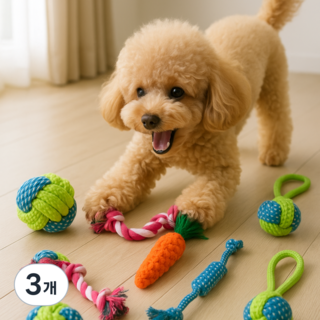 일등집사 강아지 장난감 6종 세트 터그놀이 이갈이 로프 공놀이 노즈워크, 3개, 혼합색상