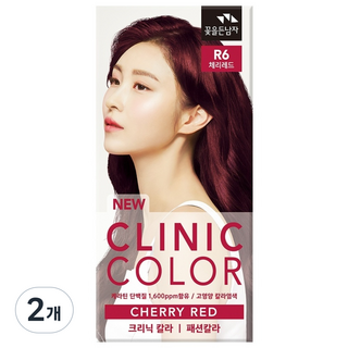 꽃을든남자 크리닉 칼라 염색약, R6 체리레드, 2개