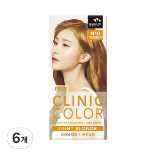 꽃을든남자 크리닉 새치 염색약, 6개, N10 아주밝은황금빛