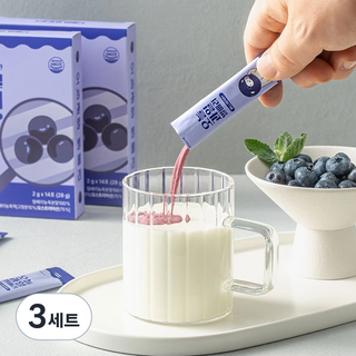 100% 빌베리 농축분말 안토시아닌 루테인대신 눈건강 눈영양 겨울철 환절기 눈피로 시력보호, 28g, 3세트