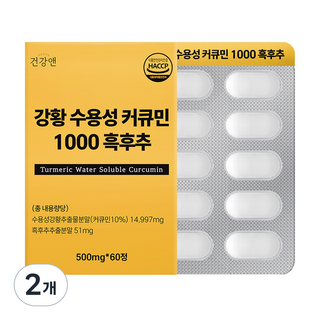 강황 수용성 커큐민 1000 흑후추 식약청인증 HACCP 건강앤, 60정, 2개