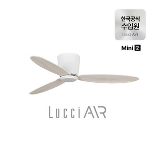 추천5 루씨에어 코타라