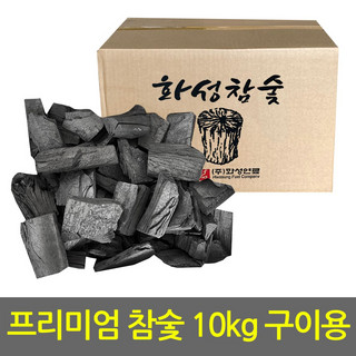 추천9 참숯