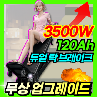 추천4 전동카트