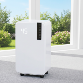 추천8 LG 제습기 15L