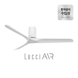 추천4 루씨에어 코타라