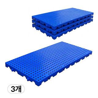 추천10 파레트