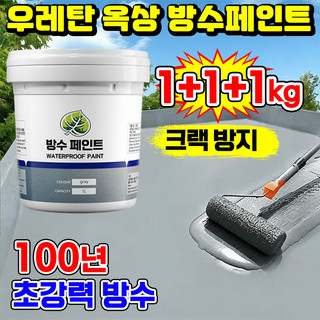 추천9 넥시안