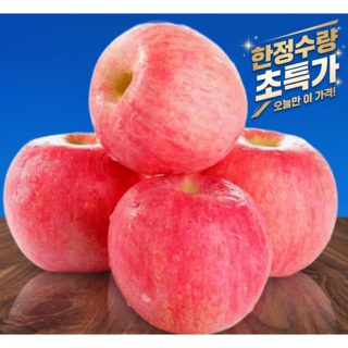 추천9 박스