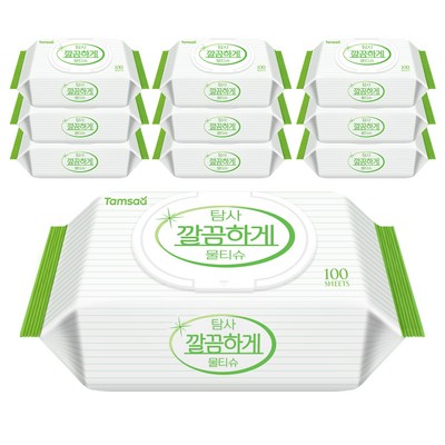 탐사 깔끔하게 다용도 물티슈 캡형 50gsm, 100매, 10개