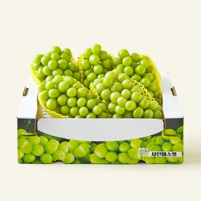 과일진심 샤인머스캣, 4kg, 1개