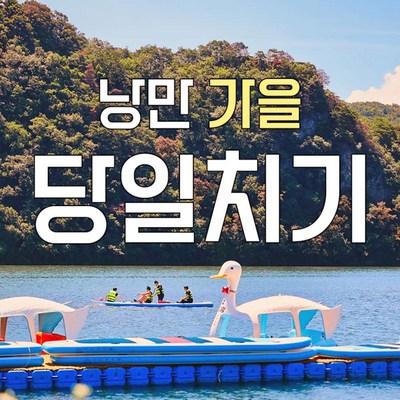 [남양주] 리버뷰 카페 음료 + 북한강 액티비티 5종 택1 / 가을 나들이PKG 반려동물 동반가능