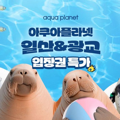 [일산/광교] 아쿠아플라넷 입장권 특가!