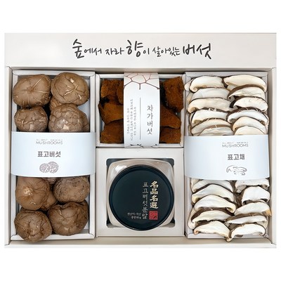 올어바웃머쉬룸 차가담은 표고 혼합세트, 1세트