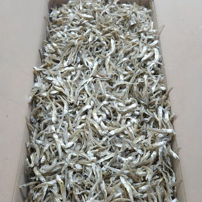 백송식품 [백송식품] 품질좋은 국내산 햇 가이리멸치 1.5kg 저염 조림 볶음멸치, 1개