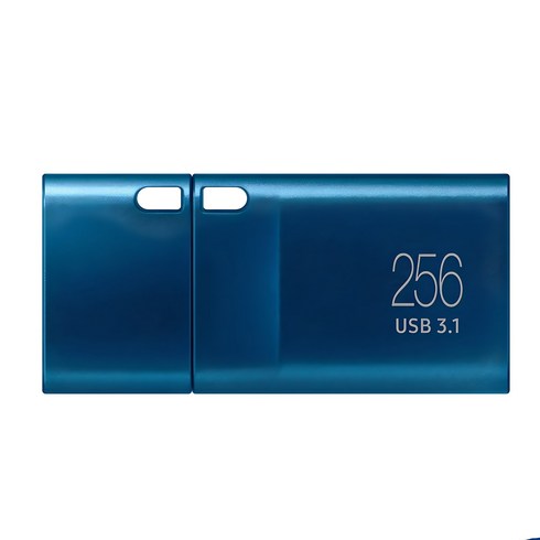삼성전자 Flash Drive Type-C MUF-256DA / APC USB 메모리, 256GB, 1개
