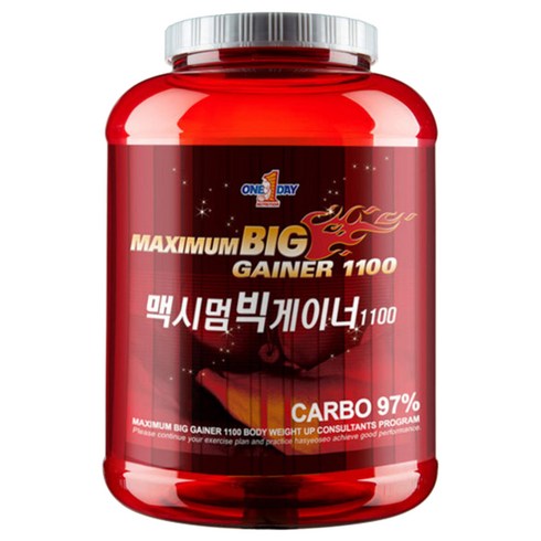 원데이뉴트리션 맥시멈 빅 게이너 1100 헬스 보충제, 3kg, 1개
