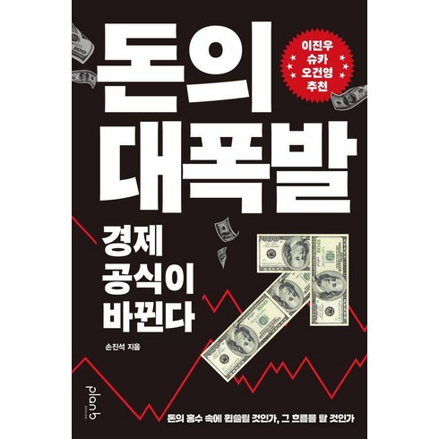 [플랜비디자인]돈의 대폭발 : 경제 공식이 바뀐다, 플랜비디자인, 손진석
