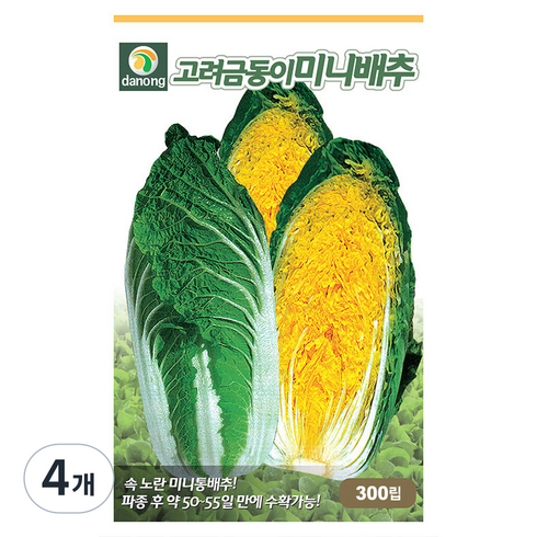 다농 고려금동이 미니배추 씨앗 300p, 4개