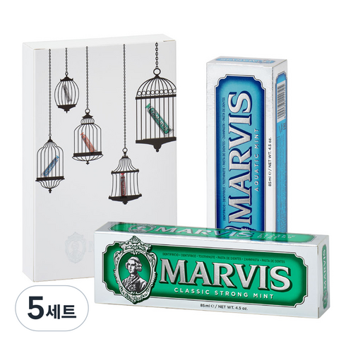 마비스 민트향 치약 2종 + 케이스 세트, 170ml, 5세트