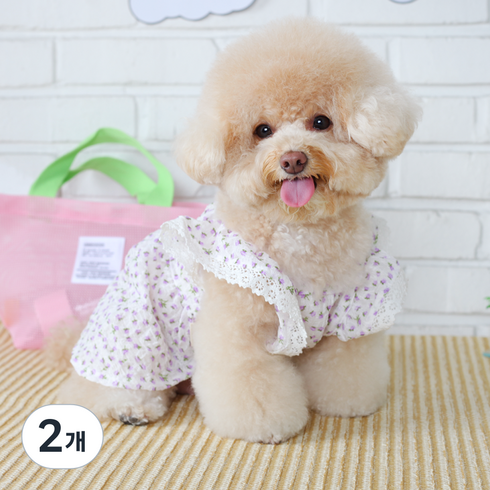 에이미러브즈펫 강아지 JJ 잔꽃 지지미 원피스, 퍼플, 2개