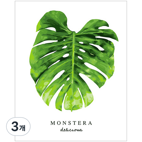 아이러브페인팅 보태니컬 DIY 명화그리기 40 x 50 cm, 몬스테라1, 3개