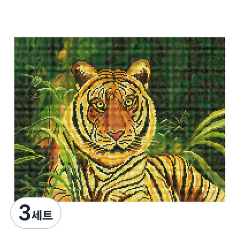 아이러브페인팅 동물 DIY 보석십자수 50 x 40 cm, 숲속의왕, 3세트
