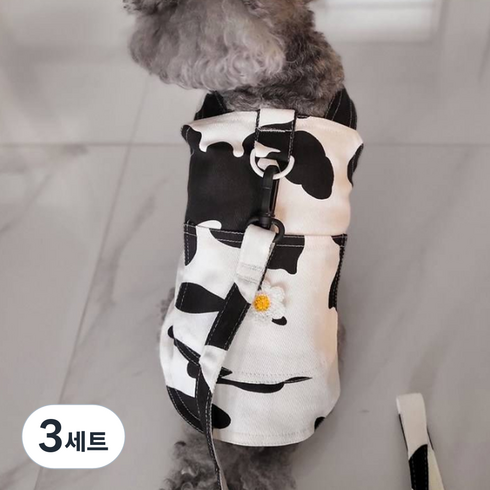 코코스튜디오 반려동물 귀여운 코코 카우 하네스 + 목줄 세트, 블랙, 3세트