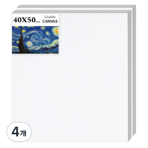 리브온 고탄성 면천 유화 아크릴 겸용 프리미엄 캔버스 40 x 50 cm, 4개, 10호